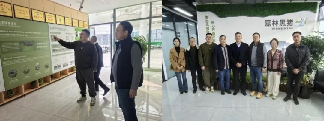 william威廉英国官网