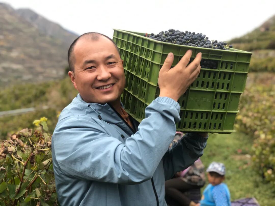 william威廉英国官网