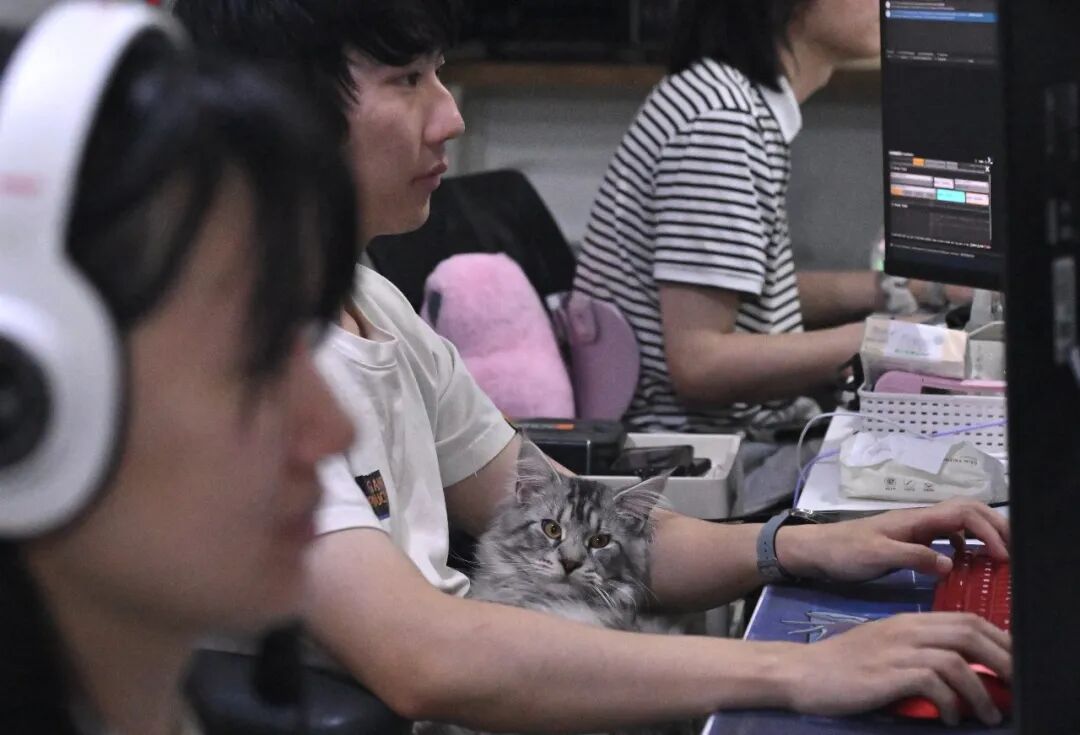 william威廉英国官网