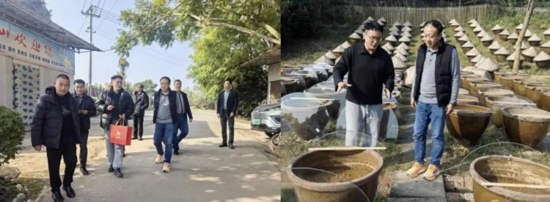 william威廉英国官网