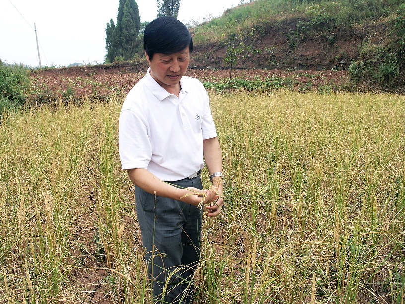 william威廉英国官网